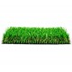 Pasto Ornamental Premium 35mm X 4 Mts